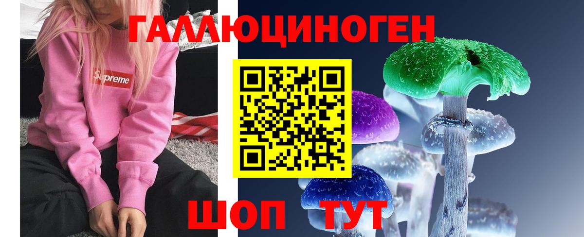 Южноуральск  Псилоцибиновые грибы мицелий  цена   Вход с VPN 